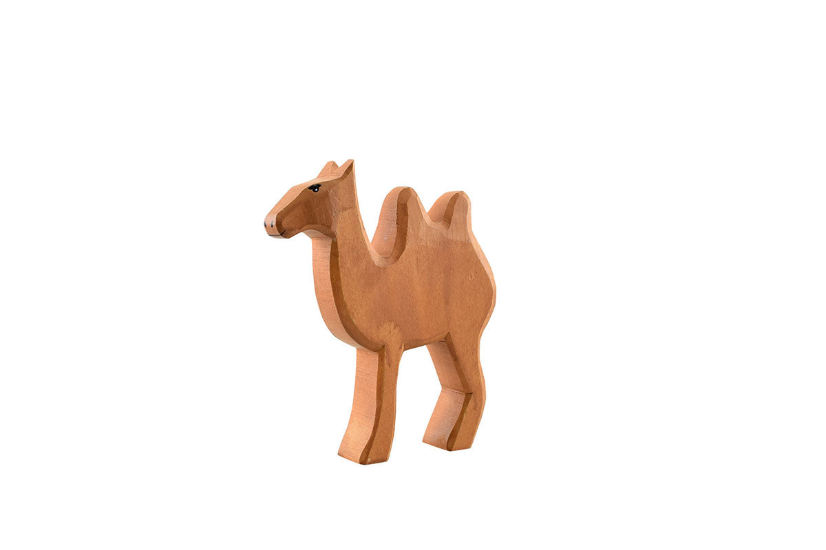 Wülfinger-Kamel groß