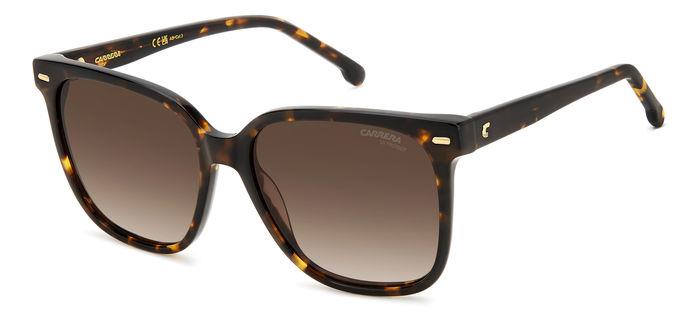Carrera Damen CARRERA 3002/S 086/HA Sonnenbrillen Acetat Havanna Braun Quadratisch  Schattiert