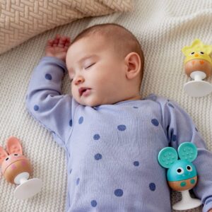 Rasseln Baby 3er-Set HAPE Saugnapf Rasseln Baby 3er-Set HAPE Saugnapf