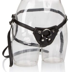 Ihr königliches Gespann Die Gräfin Ihr königliches Gespann Die Gräfin