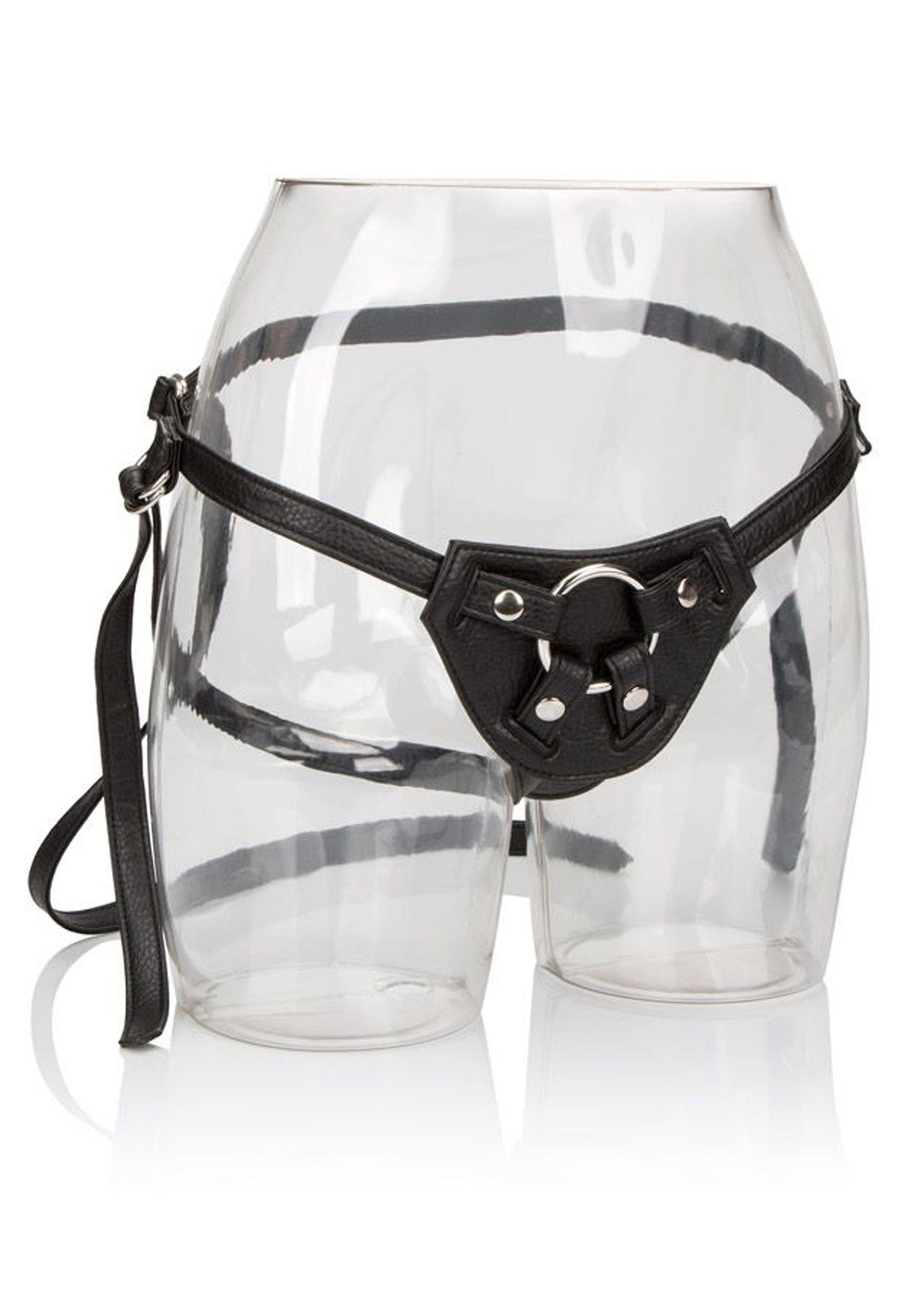 Ihr königliches Gespann Die Gräfin Ihr königliches Gespann Die Gräfin