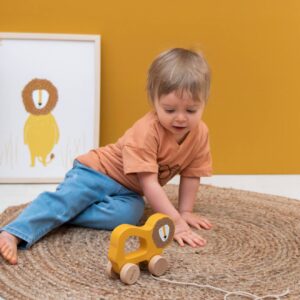 Baby Nachzieh-Spielzeug TRIXIE aus Holz