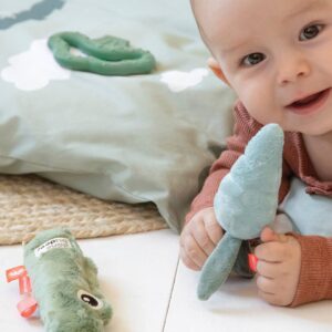 Baby Geschenk-Set CROCO DONE BY DEER